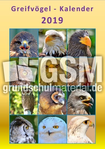 Greifvögel_Kalender_2019_3.pdf